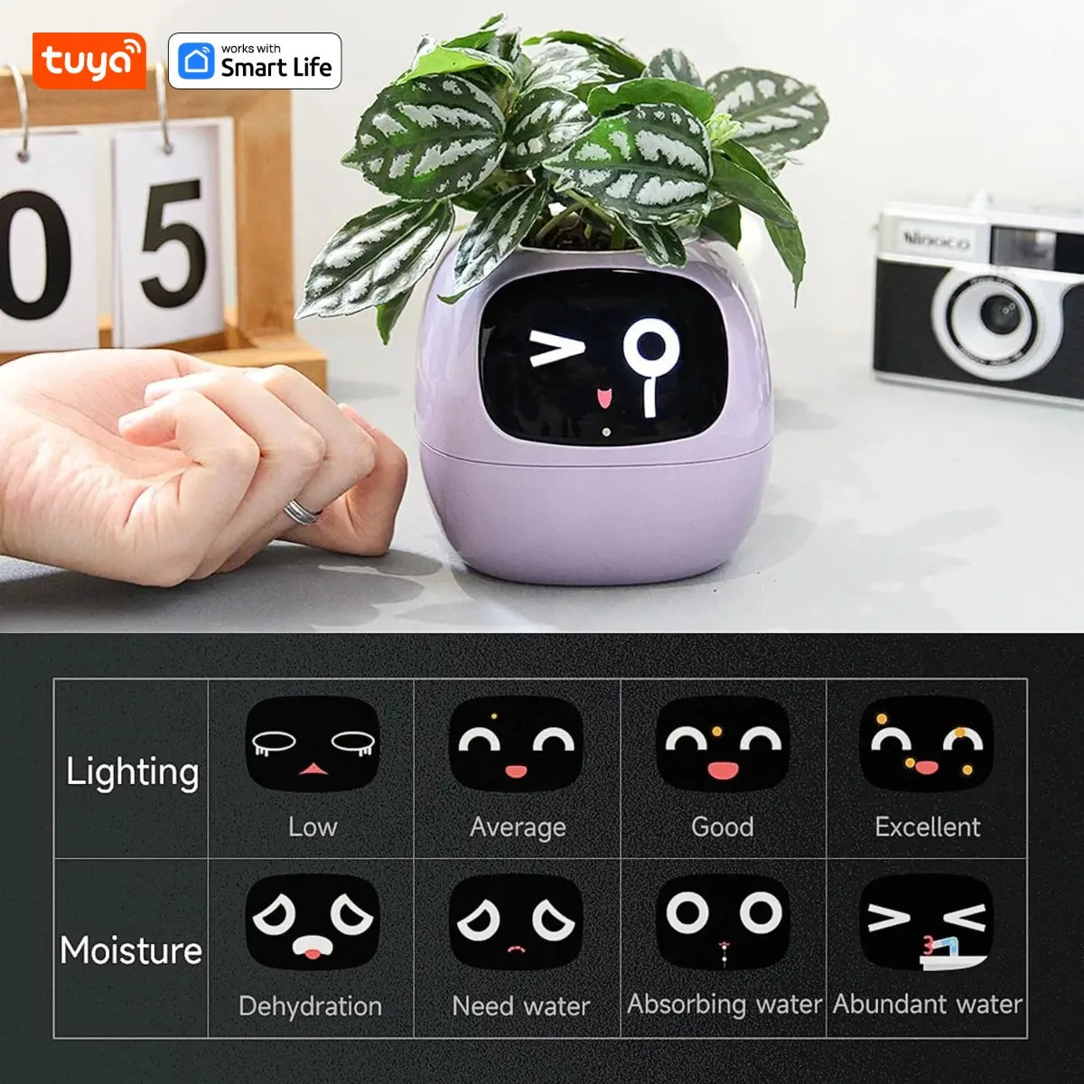 Tuya Ivy Smart Planter,Endless Fun over 49 Rich Expressions,7 Smart Sensors,Ai Chips Make Raising Plants Easy and Fun